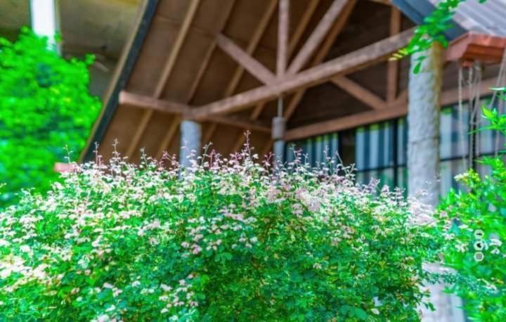 Passi Nature Villas Passikudah Kalkudah  Buitenkant foto